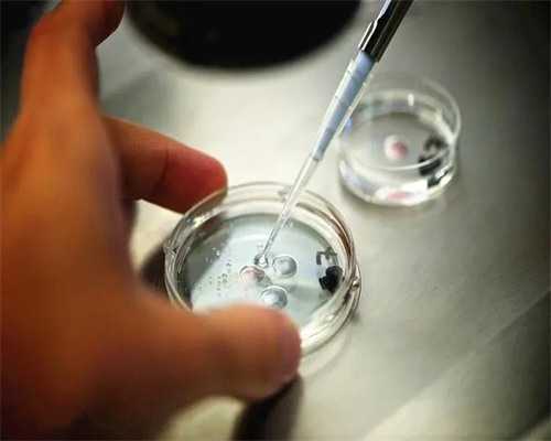 最新2026南昌代孕价格|7425V_30255_胎儿确诊有重型地贫一定要终止妊娠吗？_29s02