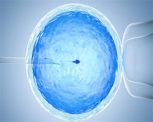 武汉试管包性别是真的吗？是怎么生儿子的呢？