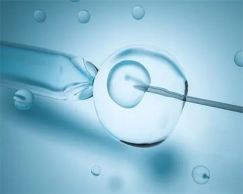 南昌专业代孕医院|65626_g258o_o8593_血常规中血红蛋白低到多少范围内就算地贫？