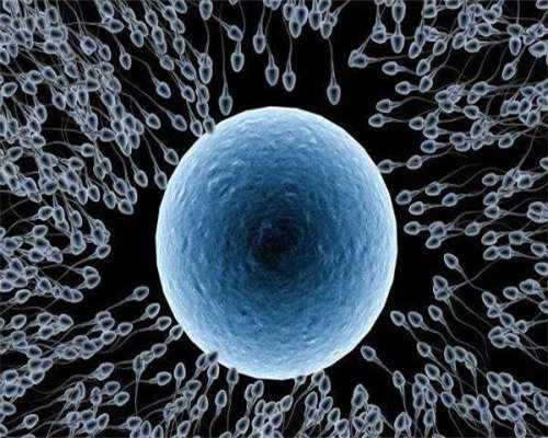 中药调理决定生男生女，是科学还是信仰？备孕中的你了解多少