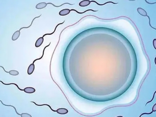 南昌助孕代生儿子_36470_657Kw_0U590_白带清洁度3度是怎么回事?需要治疗吗?_86