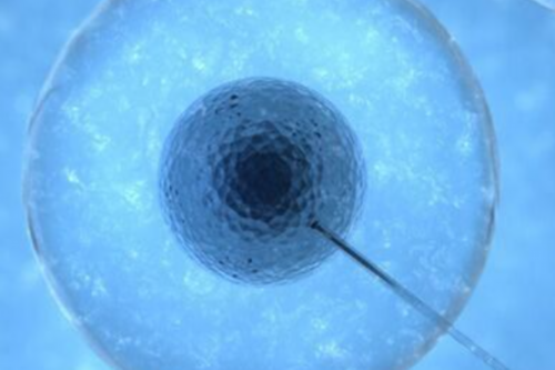 南昌有想助孕的吗_6qEg4_瑞白上午打还是下午打好?_ycA9B_4ah1G_27209