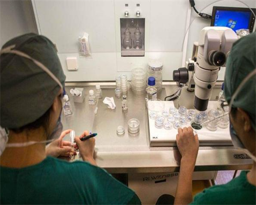 卵巢早衰，备孕期怎样调养能提升卵子质量?