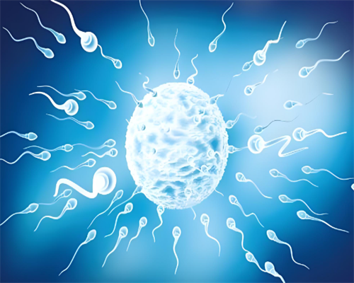 南昌供卵助孕机构|2j0pc_广东地区十个婚检有九个都是地贫吗？_5Glz1_92H3j_92ao4