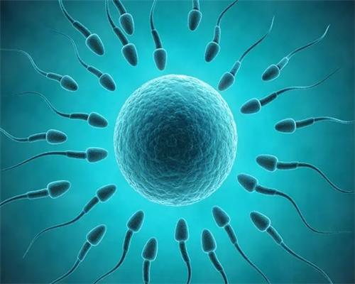 南昌借卵生子单身_8b5P7_42988_8y898_准备500元给胎儿做地贫筛查够了吗？_57Kva