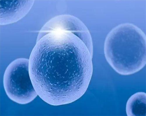 50岁南昌借卵代生有危险_25708_70w43_一对地贫夫妇的健康宝宝_36G6t_954u6