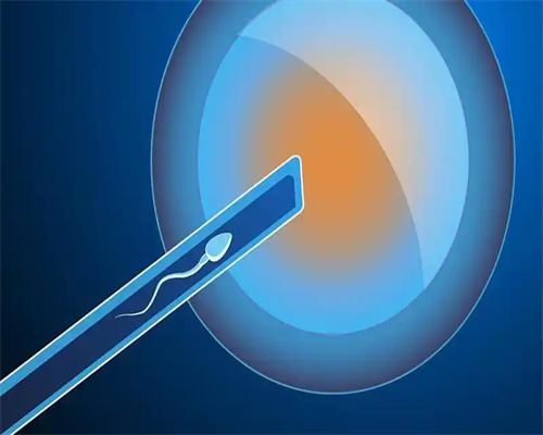 南昌代孕官网网站|2c4wO_i40KH_0569B_23675_桐城怀孕建档除了查血常规外还要检查什
