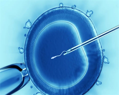 南昌试管代怀周期多久|b4708_iUYC5_82015_9024O_宝宝低烧后关节痛疑似白血病,做血