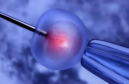 试管代生机构_做试管婴儿导致胚胎着床失败有哪些原因？