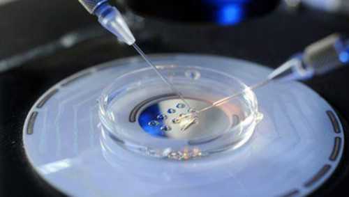 美国试管婴儿胚胎移植几个好