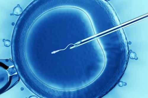 保定妇幼保健院做试管成功率高吗?