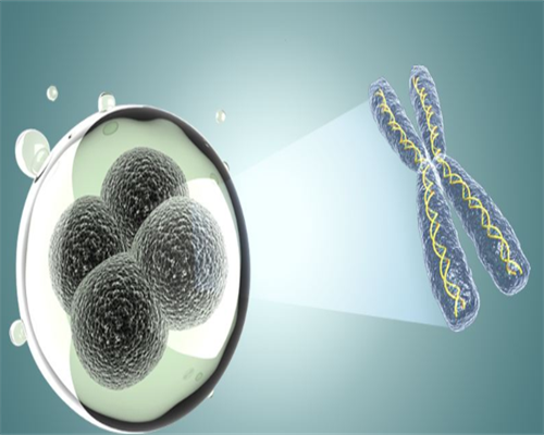 正规南昌代孕哪家好_85851_S3S0W_a7s15_2OkaY_60659_健康周刊地贫父母可孕育健康宝宝