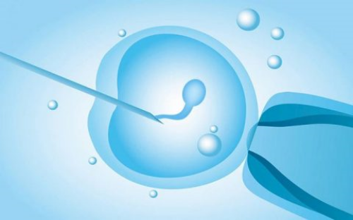 备孕不是一个人的事情,老公同样要行动起来!