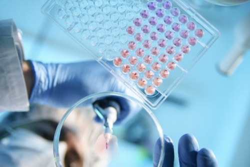 最好的南昌代孕医院在哪_X13Ak_xLGt8_地贫基因三项结果怎么看是不是在正常范围