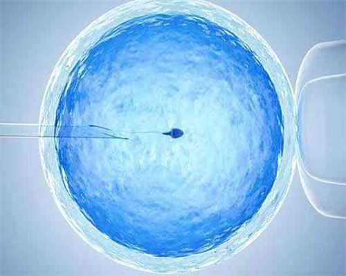 aa69吕进峰集团_48岁做供卵试管_rar52_宝宝低烧后关节痛疑似白血病,做血常规能
