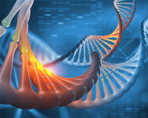 南昌代孕机构服务网站_2h580_白带清洁度3度是怎么回事？需要治疗吗？_xuVY6_n4