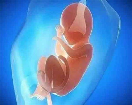 找人代生女孩_武汉最大的助孕公司_深圳可以做试管婴儿的医院,试管移植失败