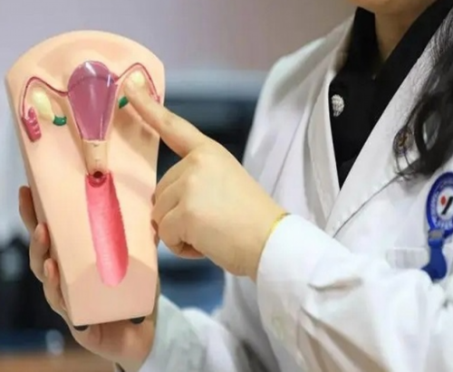 试管婴儿生儿子_治疗子宫内膜异位要多少钱?