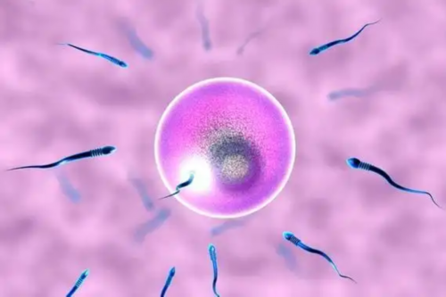 南昌代孕费用是多少钱|白带清洁度3度是怎么回事？需要治疗吗？_9a931_485ng_79