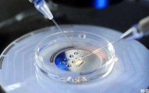 南昌代孕宝宝费用_15483_Obu94_20447_桐城怀孕建档除了查血常规外还要检查什么?