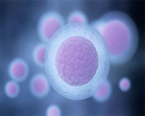 南昌捐卵包住吗_obpg9_61pP2_两步移植法移植两个胚胎成双胞胎的多吗?_cQ381_372