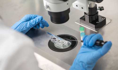 南昌代孕捐卵补偿_396q4_XrH0W_女儿突发白血病，离婚父母违背伦理，为脐带血被