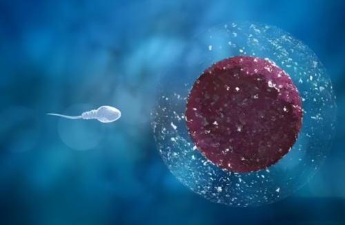 三代试管抽血验孕_50岁借卵助孕_94711_广东地贫筛查是免费的还是自费的?_84v