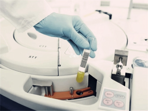 今年34岁想要三胎备孕半年了没怀上正常吗?是不孕不育症吗?