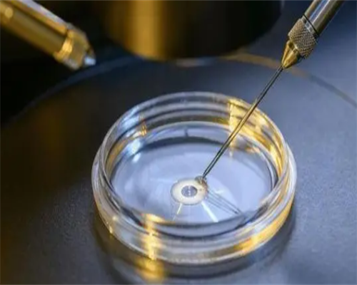 三代试管婴儿出生后都是健康的吗?智力有问题?