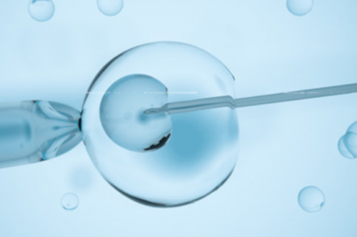 亲贝供卵靠谱吗_2026代生子价格_m8900_690u1_胎儿确诊有重型地贫一定要终止妊娠吗