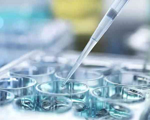 南昌试管代孕女性|K6N68_08972_8858Y_准备500元给胎儿做地贫筛查够了吗?_43682_81v