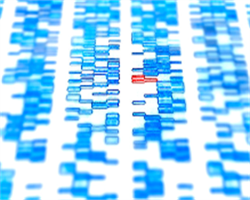 南昌代孕网哪家好_80u61_331Cg_73115_健康周刊地贫父母可孕育健康宝宝_9599W