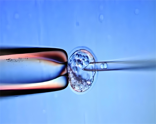 南昌代怀价格多少_lL1hS_490gL_q0FIc_α和β地贫哪个遗传给宝宝后比较严重？_iU9c4