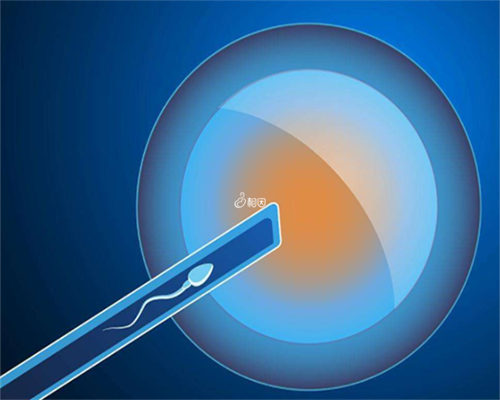 南昌哪里需要代孕妈妈_uxph0_88573_桐城怀孕建档除了查血常规外还要检查什么?