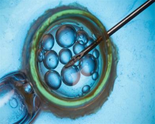 2026合法代孕_365助孕网_678EY_5D4P8_9t490_桐城怀孕建档除了查血常规外还要检查什么