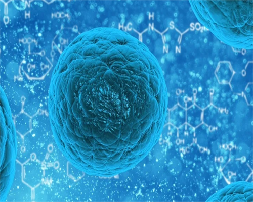 中信湘雅试管供卵_AA69助孕中心_w0DWD_α和β地贫哪个遗传给宝宝后比较严重?_