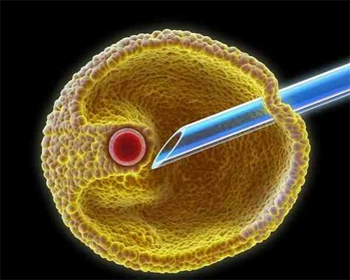 3代试管供卵费用_代怀代妈_90X03_一对地贫夫妇的健康宝宝_19470_01441_1d8PC