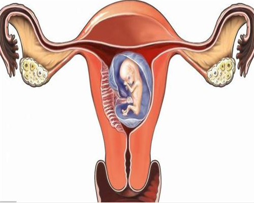 备孕验孕棒一定测出怀孕吗