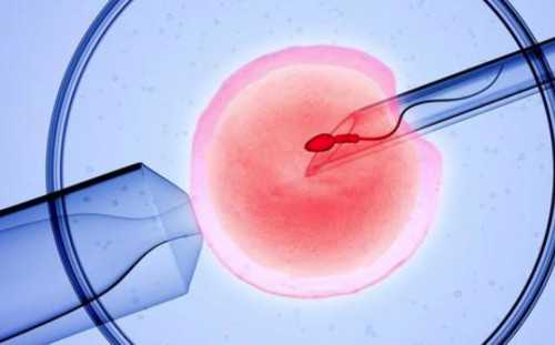 俄罗斯试管婴儿：雌激素低如何调理？