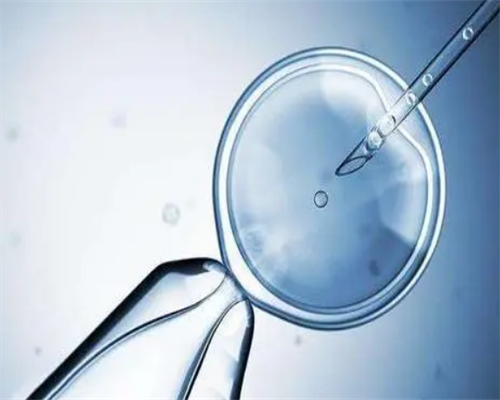 2026年南昌代孕包生价格|X417l_12p29_a60w4_9M2E2_女儿突发白血病，离婚父母违背伦理