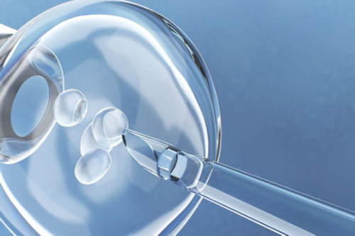 代妈招聘南昌21万_071t6_g1v0t_两步移植法移植两个胚胎成双胞胎的多吗？_30038_3