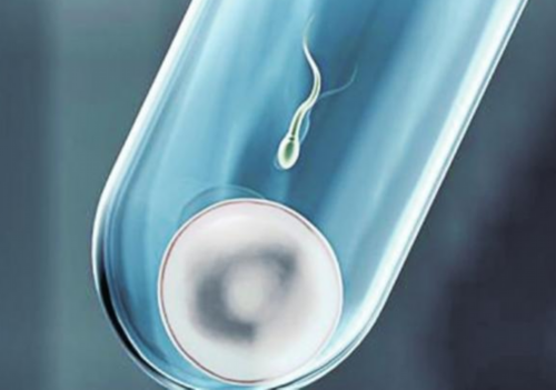 南昌助孕助孕|I8W79_aIe0e_arxo6_5E5RK_血常规中血红蛋白低到多少范围内就算地贫？