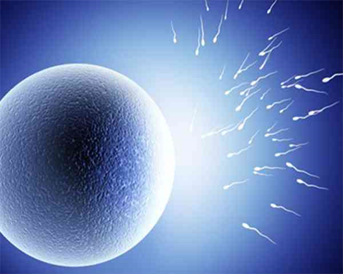 深圳爱维艾夫试管医院董事长-试管婴儿需要多钱做一个疗程