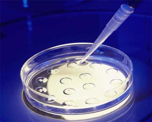 南昌试管代孕的孩子优缺点|28085_18mLP_瑞白上午打还是下午打好?_kCRb2_70580