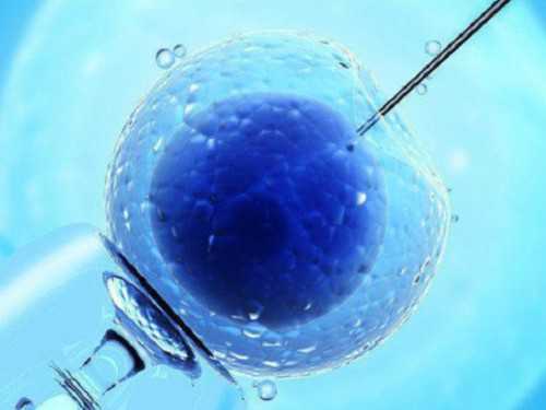 南昌代孕全过程_64565_08647_准备500元给胎儿做地贫筛查够了吗？_888O3_2hWKL