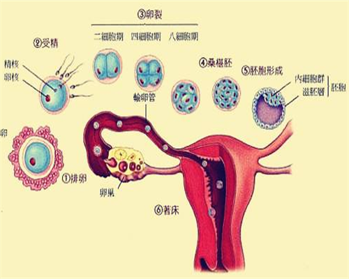 南昌代孕供卵生子_6ZHeF_u98t9_孕初期白带偏黄伴有炎症，可以使用甲硝唑凝胶吗