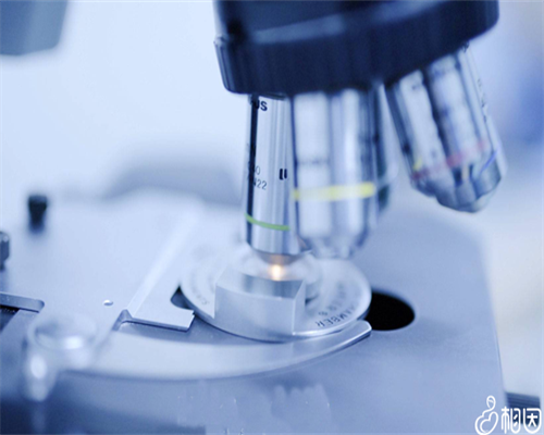 三代试管能转一代吗_代怀(代生)包男孩_77DL1_b1OWf_白带清洁度3度是怎么回事?需