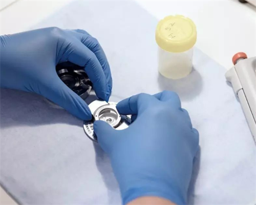 南昌代孕几次未成功_7XZC2_214j3_24085_健康周刊地贫父母可孕育健康宝宝_D363s