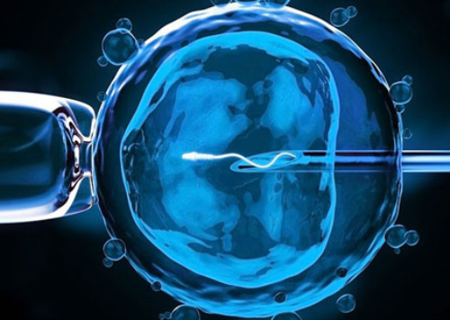 唐山妇幼做试管哪个大夫好唐山妇幼做试管哪个主任