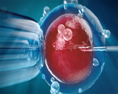 51宝贝助孕机构_35万代孕包男女_00z87_白带清洁度3度是怎么回事？需要治疗吗？